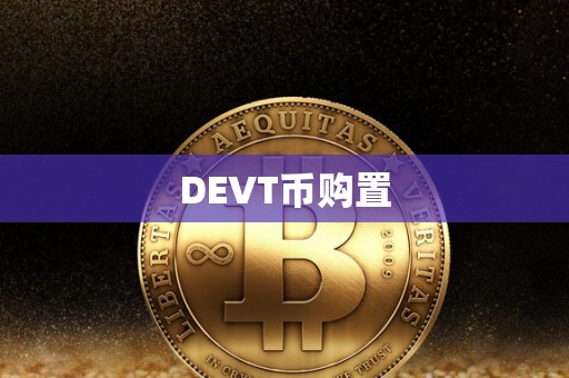 DEVT币购置