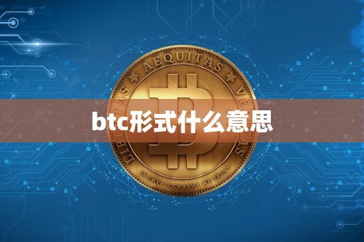 btc形式什么意思