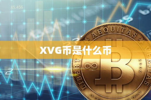 XVG币是什么币