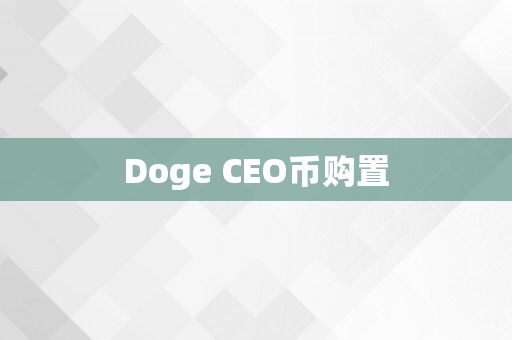 Doge CEO币购置