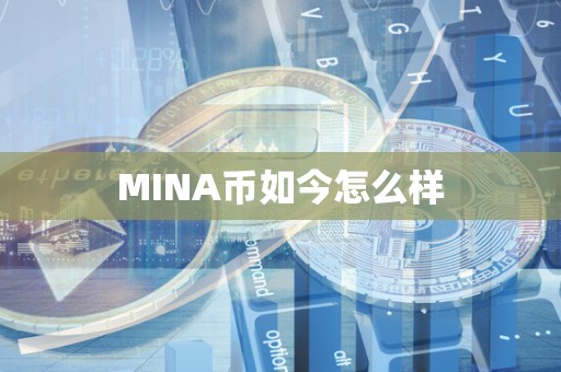 MINA币如今怎么样