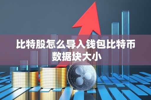 比特股怎么导入钱包比特币 数据块大小