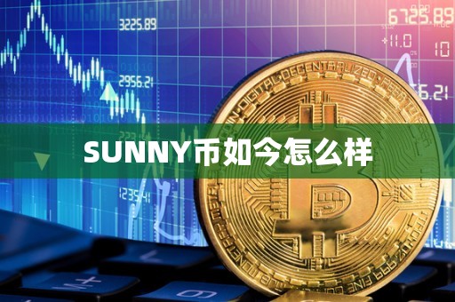 SUNNY币如今怎么样