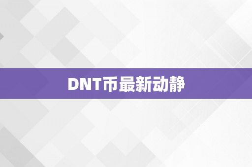 DNT币最新动静