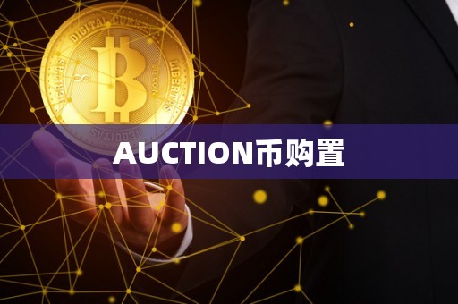 AUCTION币购置