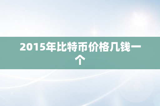 2015年比特币价格几钱一个