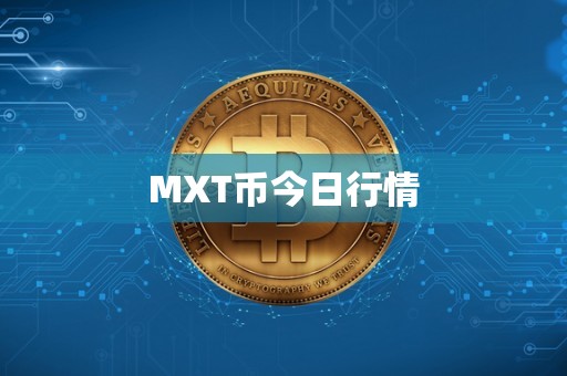 MXT币今日行情