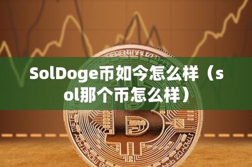 SolDoge币如今怎么样（sol那个币怎么样）