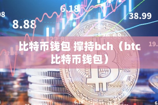 比特币钱包 撑持bch（btc比特币钱包）