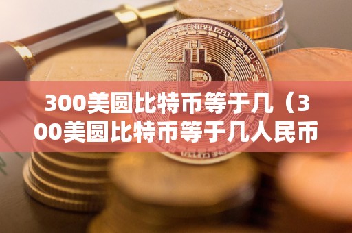 300美圆比特币等于几（300美圆比特币等于几人民币）