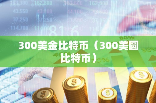 300美金比特币（300美圆比特币）