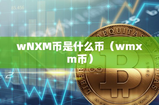 wNXM币是什么币（wmxm币）