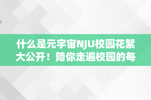 什么是元宇宙NJU校园花絮大公开！陪你走遍校园的每一个角落！