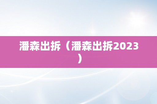 潘森出拆（潘森出拆2023）