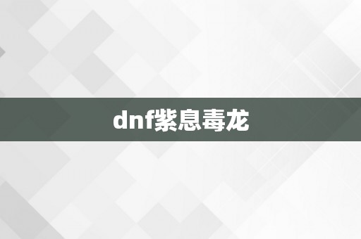 dnf紫息毒龙