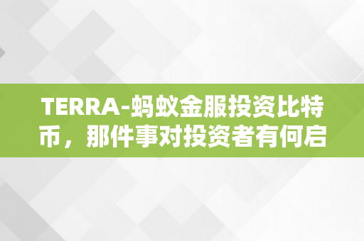 TERRA-蚂蚁金服投资比特币，那件事对投资者有何启迪？