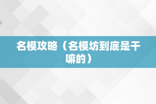 名模攻略（名模坊到底是干嘛的）