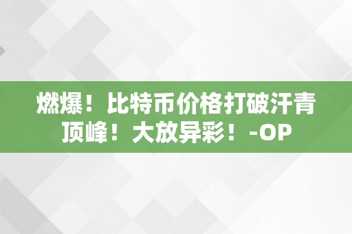 燃爆！比特币价格打破汗青顶峰！大放异彩！-OP