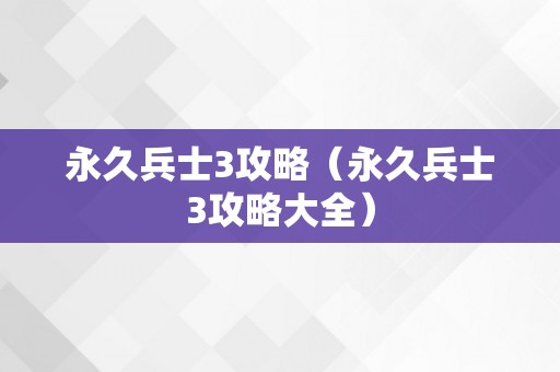 永久兵士3攻略（永久兵士3攻略大全）