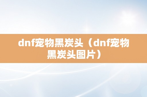 dnf宠物黑炭头（dnf宠物黑炭头图片）