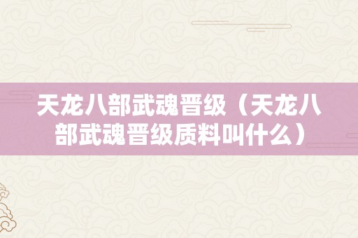 天龙八部武魂晋级（天龙八部武魂晋级质料叫什么）