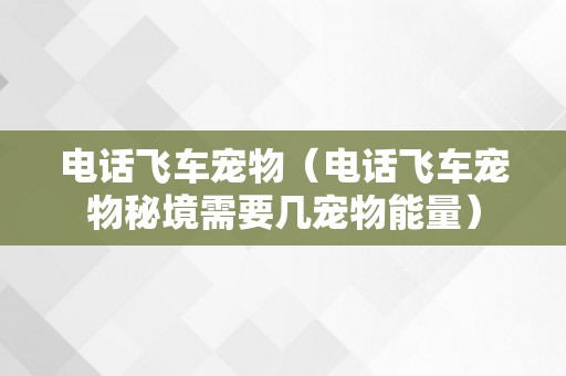 电话飞车宠物（电话飞车宠物秘境需要几宠物能量）