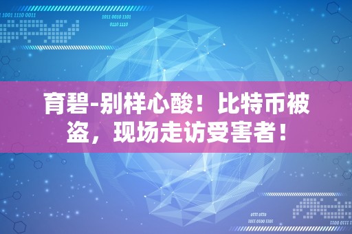 育碧-别样心酸！比特币被盗，现场走访受害者！