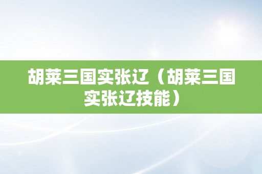 胡莱三国实张辽（胡莱三国实张辽技能）