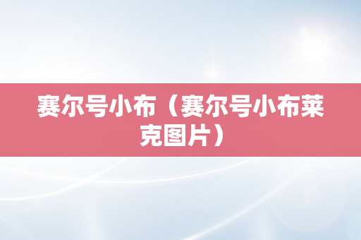 赛尔号小布（赛尔号小布莱克图片）