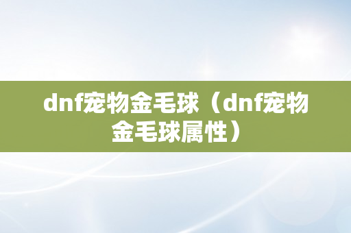 dnf宠物金毛球（dnf宠物金毛球属性）