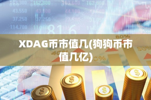 XDAG币市值几(狗狗币市值几亿)