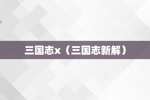 三国志x（三国志新解）