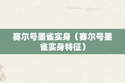 赛尔号墨雀实身（赛尔号墨雀实身特征）