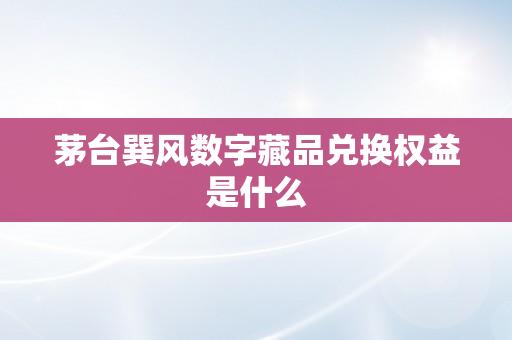 茅台巽风数字藏品兑换权益是什么