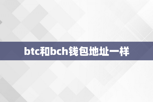 btc和bch钱包地址一样