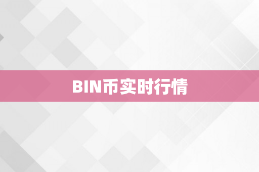 BIN币实时行情