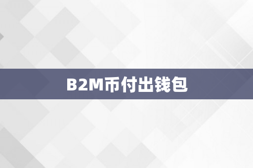 B2M币付出钱包