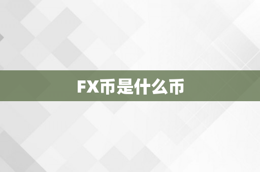 FX币是什么币