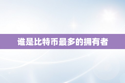 谁是比特币最多的拥有者