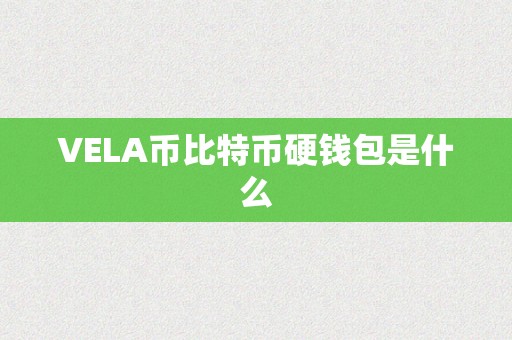 VELA币比特币硬钱包是什么