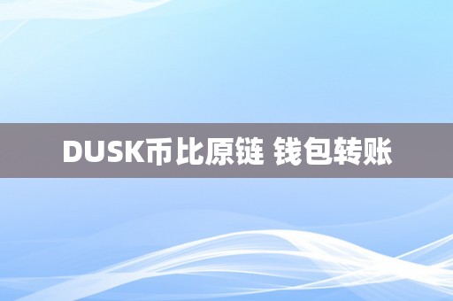 DUSK币比原链 钱包转账