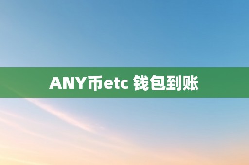 ANY币etc 钱包到账