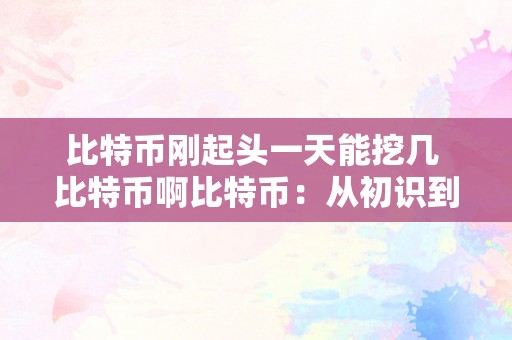 比特币刚起头一天能挖几 比特币啊比特币：从初识到深切摸索