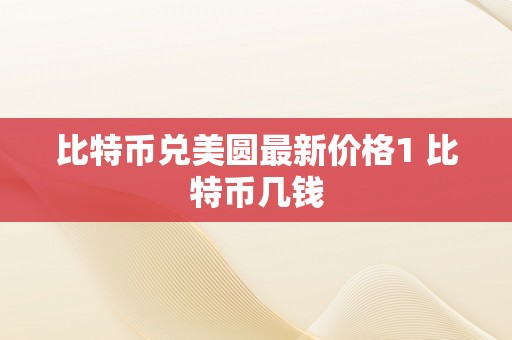 比特币兑美圆最新价格1 比特币几钱