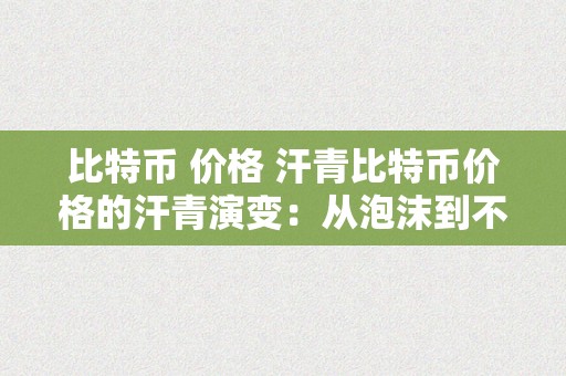 比特币 价格 汗青比特币价格的汗青演变：从泡沫到不变