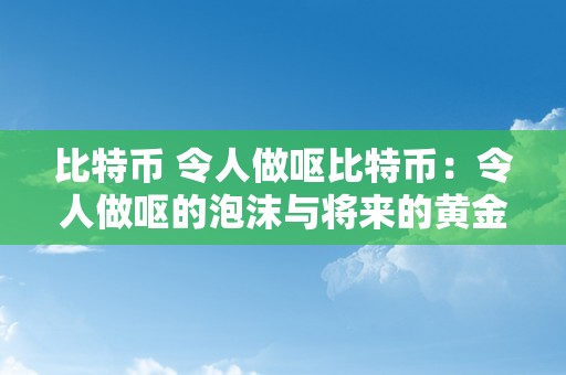 比特币 令人做呕比特币：令人做呕的泡沫与将来的黄金？