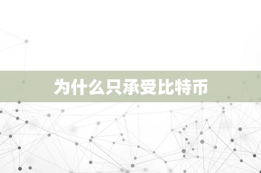 为什么只承受比特币