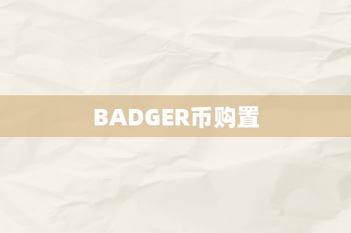 BADGER币购置