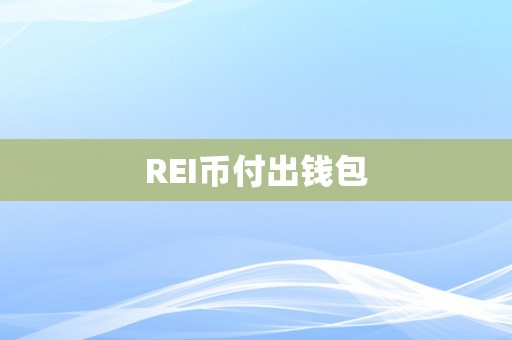 REI币付出钱包