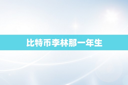 比特币李林那一年生